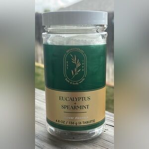 Bath & Body Works Eucalyptus Spearmint Shower Steamers BBW New In Box